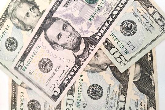 В Абу-Даби редкого белого сокола продали за 400 тысяч долларов