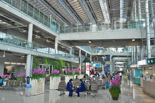 В аэропортах Таиланда начали проверять пассажиров из Индии на вирус Нипах из-за страха пандемии