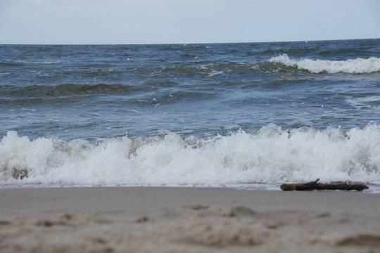 В Германии приступили к операции по спасению застрявшего кита