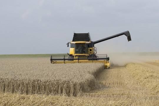 В Минсельхозе ожидают близкого к рекордному урожая зерновых в России