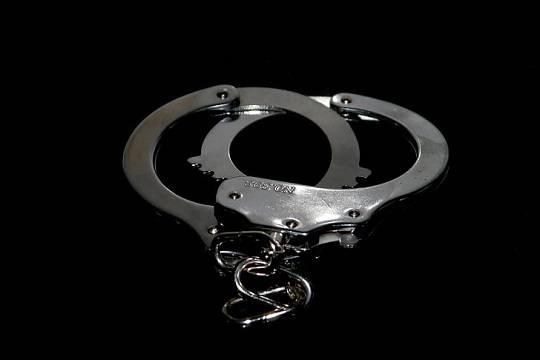 В Новгородской области задержали мужчину, подозреваемого в убийстве бывшей жены и её сыновей