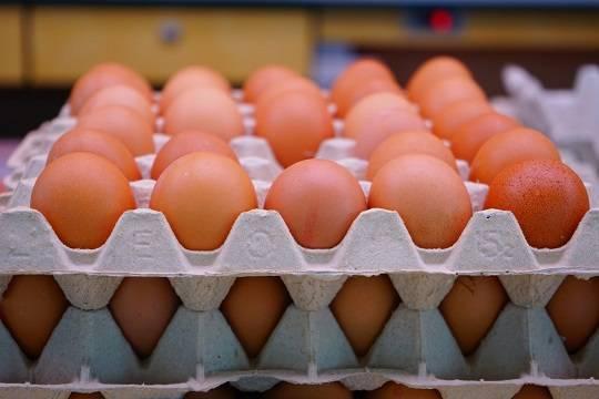 В России наблюдается перепроизводство яиц