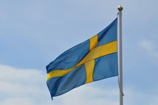 В Швеции двух братьев обвинили в шпионаже в пользу России