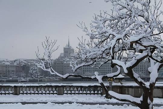 В Швейцарии отреагировали на сообщения о новом раунде переговоров в Женеве