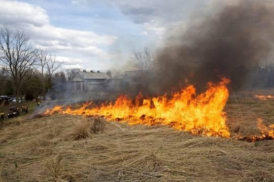 В Забайкалье завели дело о халатности после возгорания 10 домов в городе Борзя