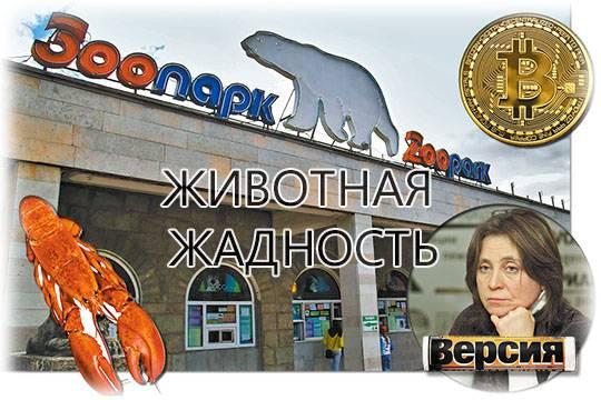 В зоопарке Петербурга майнили криптовалюту