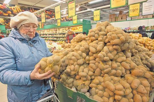 Магазины Картошки Купить Семена