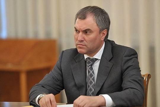 Вячеслав Володин перечислил основания для лишения приобретённого гражданства