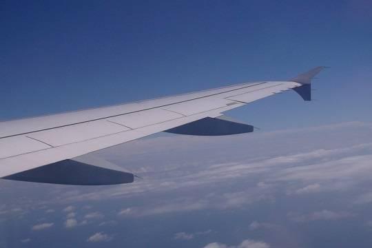 Эксперт: Единственный выживший при крушении самолёта в Индии пассажир спасся благодаря случайности