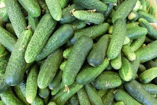 Эстония может нарастить импорт из-за роста цен на собственные продукты