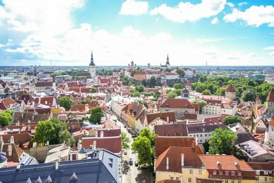 Эстония установила первые устройства защиты от дронов на границе