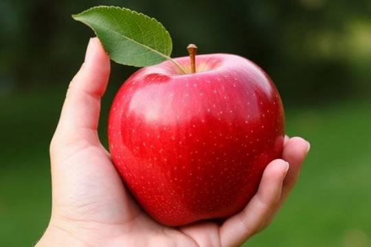 Юрия Трутнева шокировала цена 300 рублей за одно яблоко на Чукотке