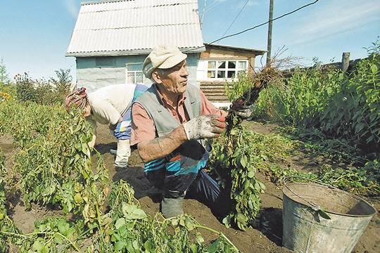 Закон о садовых товариществах может вызвать социальный взрыв. фото: Евгений Епачинцев/ТАСС