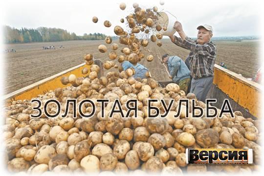 Жена губернатора, банкир, олигарх  кто греет руки на дефиците второго хлеба