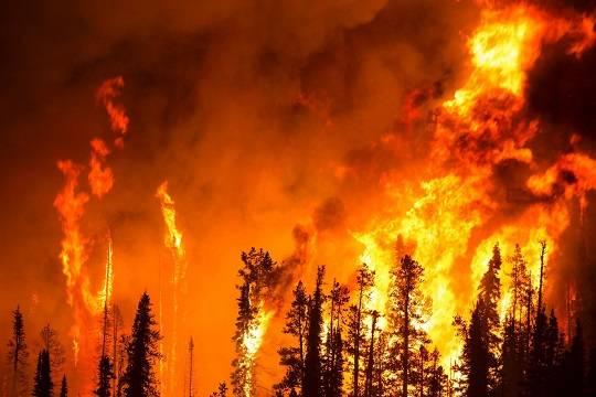 Жителей Дюрсо попросили подготовиться к эвакуации из-за распространения лесного пожара