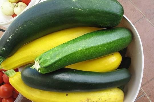 Жители России отвернулись от баклажанов и кабачков